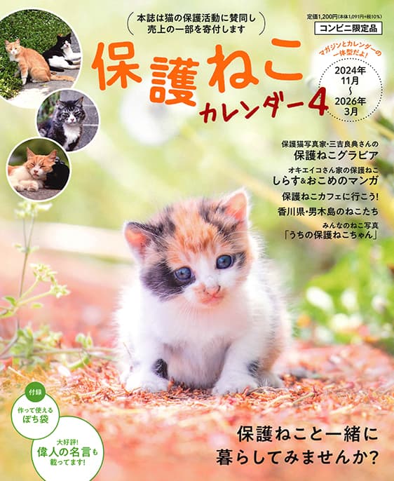保護猫カレンダー