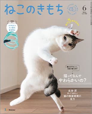 ねこのきもち